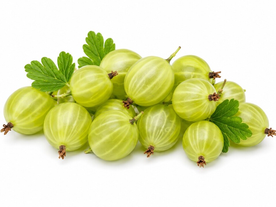 Kruisbes