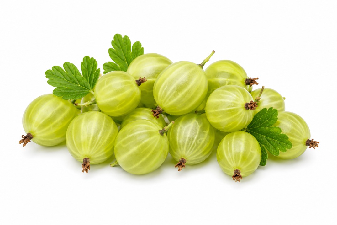 Kruisbes